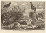 Image ID 821702