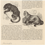 Image ID 821705