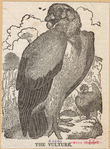 Image ID 821712
