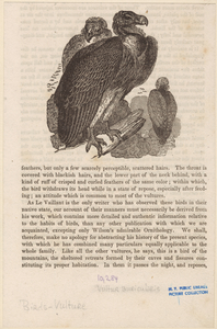 Image ID 821716