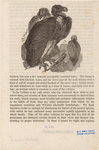 Image ID 821716