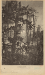 Image ID 821719