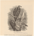 Image ID 821720