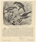 Image ID 821727