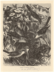 Image ID 821730