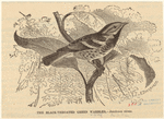 Image ID 821733
