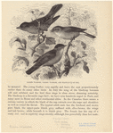 Image ID 821734