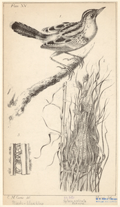 Image ID 821736