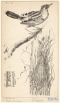 Image ID 821736