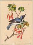 Image ID 821737