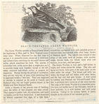 Image ID 821739