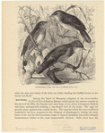 Image ID 821742