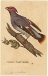 Image ID 821744