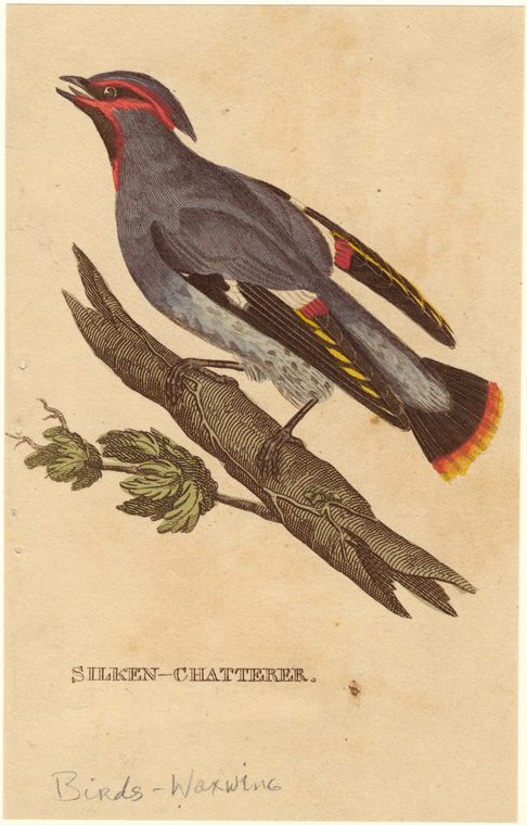 Image ID 821744
