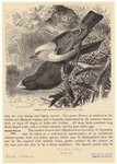 Image ID 821746