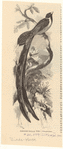 Image ID 821749
