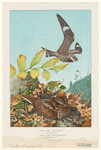 Image ID 821752