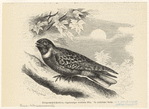 Image ID 821753