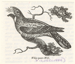 Image ID 821754