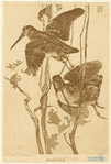 Image ID 821756