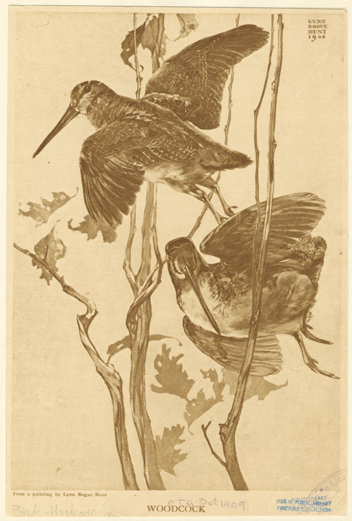 Image ID 821756
