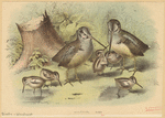 Image ID 821758