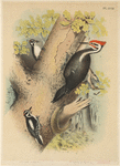 Image ID 821760