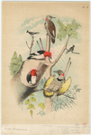 Image ID 821761