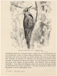 Image ID 821762