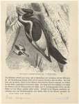 Image ID 821763