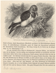Image ID 821764