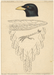 Image ID 821766