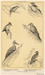 Image ID 821767