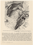 Image ID 821769