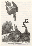 Image ID 821774