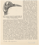 Image ID 821778