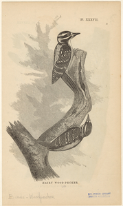 Image ID 821780
