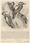 Image ID 821786