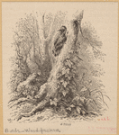 Image ID 821790