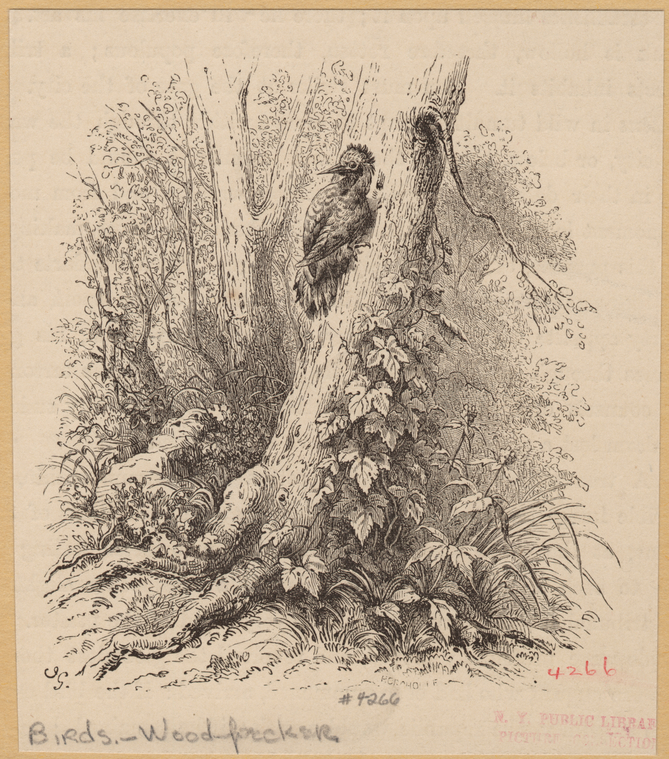 Image ID 821790
