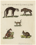 Image ID 821793