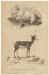 Image ID 821802