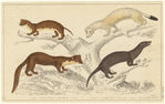 Image ID 821807