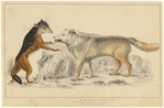 Image ID 821808