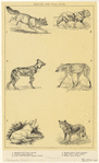 Image ID 821809