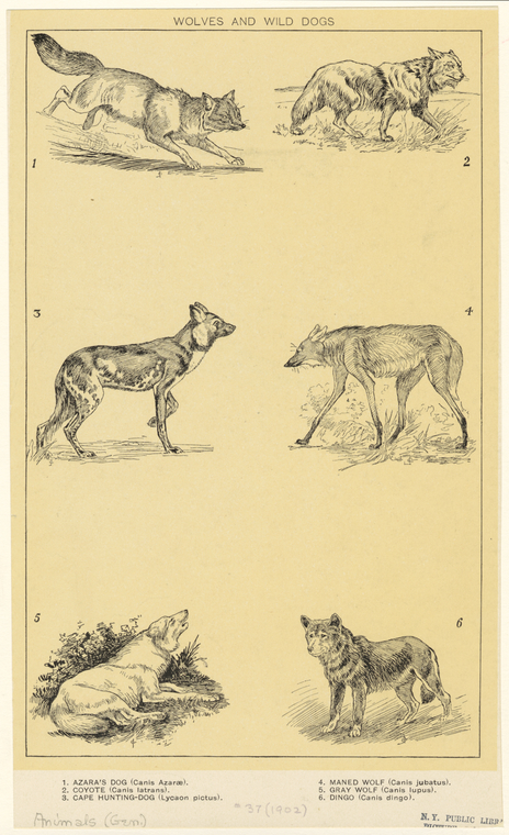 Image ID 821809
