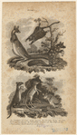 Image ID 821819