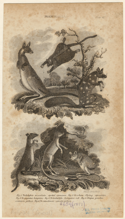 Image ID 821819
