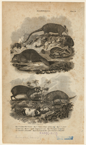 Image ID 821820