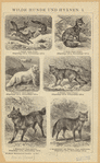 Image ID 821821